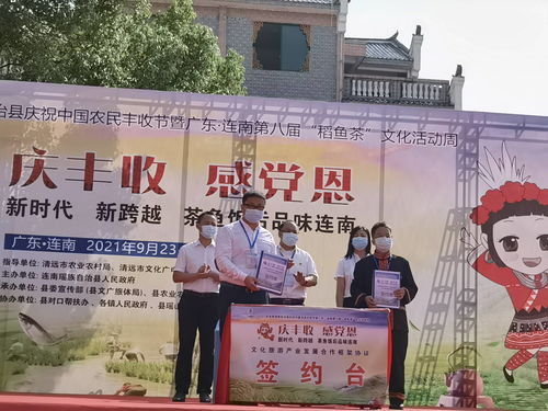 連南第八屆稻魚茶文化活動周盛大開幕，推動文化藝術交流新篇章